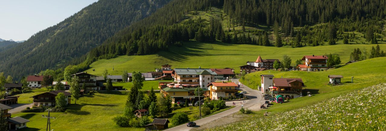 Sommer_bergwiesen_frische_Luft.jpg