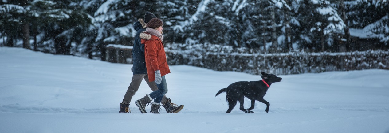 winter_wonderland_hund.jpg